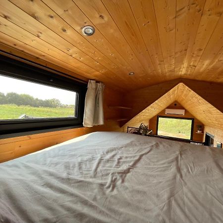 Myinsolite - Tiny-House, Jacuzzi, Brasero, Piscine Aigues-Mortes Exteriér fotografie