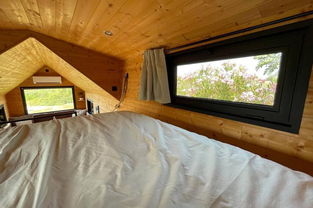 Myinsolite - Tiny-House, Jacuzzi, Brasero, Piscine Aigues-Mortes Exteriér fotografie