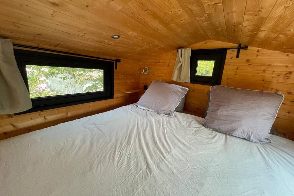 Myinsolite - Tiny-House, Jacuzzi, Brasero, Piscine Aigues-Mortes Exteriér fotografie