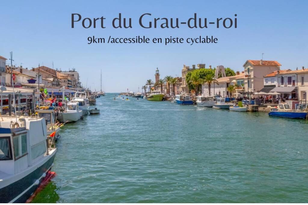 Myinsolite - Tiny-House, Jacuzzi, Brasero, Piscine Aigues-Mortes Exteriér fotografie