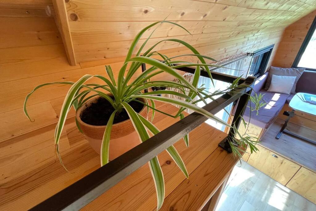 Myinsolite - Tiny-House, Jacuzzi, Brasero, Piscine Aigues-Mortes Exteriér fotografie