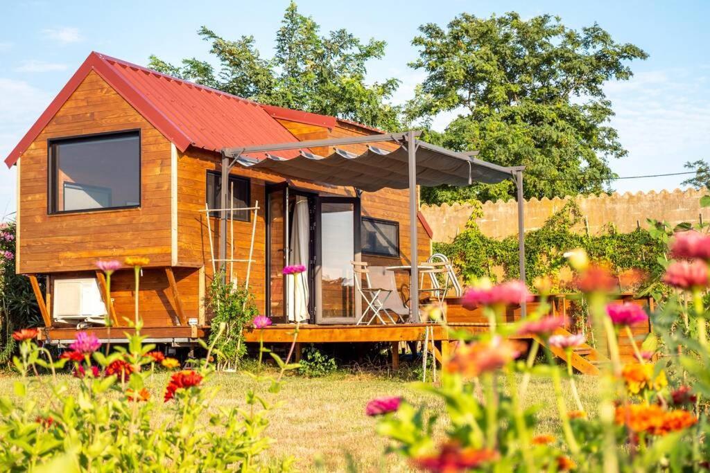 Myinsolite - Tiny-House, Jacuzzi, Brasero, Piscine Aigues-Mortes Exteriér fotografie